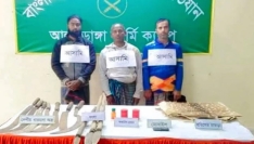 আলমডাঙ্গায় ককটেল, দেশি অস্ত্র ও হরিণের চামড়াসহ আটক ৩