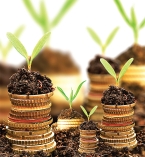 হালাল উপার্জনের গুরুত্ব  