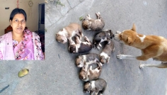 ঈশ্বরদীতে আট কুকুরছানা হত্যার অভিযোগে মামলা দায়ের