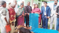 পীরগঞ্জে ক্ষুদ্র নৃ-গোষ্ঠির মাঝে ছাগল বিতরণ