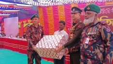 কাস্তে হাতে সেই কৃষককে বিজিবির সংবর্ধনা