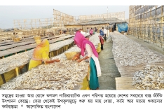 কক্সবাজারে শুঁটকি উৎপাদনের ধুম  