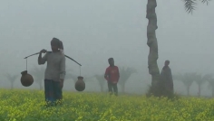 চুয়াডাঙ্গায় মৌসুমের সর্বনিম্ন তাপমাত্রা ১১.৮ ডিগ্রি