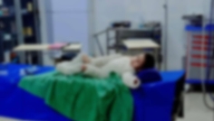 সোনারগাঁয়ে গ্যাস লাইনের লিকেজে বিস্ফোরণ, নারীসহ দগ্ধ ৪