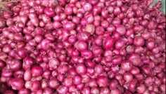 সীমিত আকারে পেঁয়াজ আমদানির অনুমতি দেবে সরকার