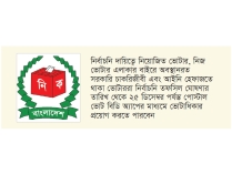 দেশে পোস্টাল ভোটিং, তফসিল ঘোষণার দিন থেকে নিবন্ধন  