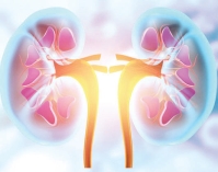 কিডনি সমস্যায় কারণ  