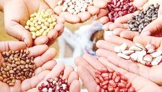 স্বাবলম্বিতায় সুখ ও সফলতা