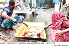দেশের বাইরে যাচ্ছে চুয়াডাঙ্গার খেজুর গুড়  
