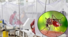 ডেঙ্গুতে ২৪ ঘণ্টায় আরও ২ মৃত্যু, নতুন শনাক্ত ৪৫৫