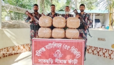 হবিগঞ্জ সীমান্তে ঝোপঝাড় থেকে ৩০ কেজি ভারতীয় গাঁজা জব্দ