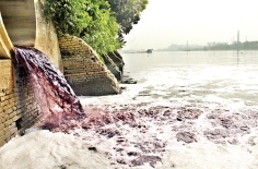 নদী দূষণ  