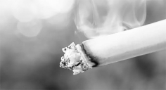 তামাক কোম্পানির প্রভাবমুক্ত আইন প্রণয়ন এখন সময়ের দাবি  