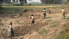 দামুড়হুদায় ফসলি জমির মাটি কেটে ইটভাটায় বিক্রির অভিযোগ