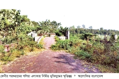 ঝোপ-জঙ্গলে ভরে গেছে মুক্তিযুদ্ধ স্মৃতিস্তম্ভ  