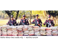 বিজিবির অভিযানে ২৭ লাখ টাকার ভারতীয় শাড়ি জব্দ  