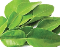 খুশকি দূর করতে লেবু পাতা  