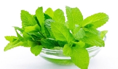 তুলসিপাতার উপকারিতা