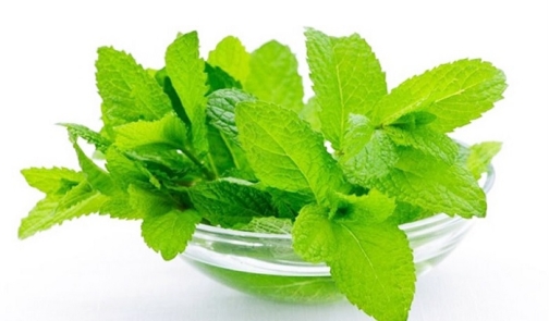 তুলসিপাতার উপকারিতা