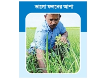 বন্যার ক্ষতি পুষিয়ে নিতে বিস্তীর্ণ চরে পেঁয়াজ চাষে ব্যস্ত কৃষক  