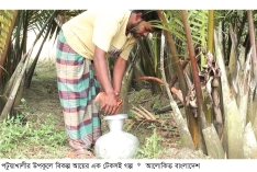 গোলের গুড়ের নোনতা মিষ্টি স্বাদেই বদলে যাচ্ছে উপকূলের দিন  