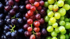 কোন আঙুর বেশি পুষ্টিকর