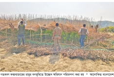 রামুতে সংরক্ষিত বনভূমির ৬০ হেক্টর জমি দখলমুক্ত  