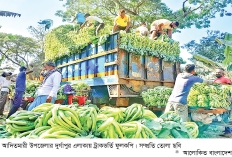 মধ্যস্বত্বভোগীদের দখলে সবজির মুনাফা  
