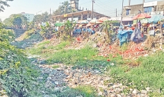 মরে যাচ্ছে খাল  