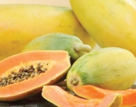 পেঁপে খাওয়ার উপকারিতা  