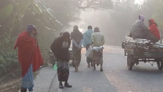 চুয়াডাঙ্গায় ঘন কুয়াশা ও ঠান্ডা বাতাসে তীব্র শীত, জনজীবনে প্রভাব