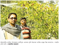 মিশ্র ফল চাষে ফিরছে সচ্ছলতা 