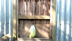 সিরাজগঞ্জে প্রবাসীর বাড়িতে চুরি, তদন্ত শুরু