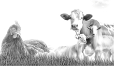 জাতীয় প্রাণিসম্পদ সপ্তাহ ২০২৫ : প্রত্যাশা ও প্রাপ্তি 