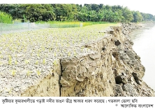 গড়াই নদীর পেটে যাচ্ছে ফসলি জমি-ভিটেবাড়ি  