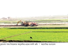 চুয়াডাঙ্গায় ১০ বছরে কৃষিজমি কমেছে পাঁচ হাজার হেক্টর  