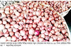 রংপুরে পেঁয়াজের দাম কমে কেজি ৫০ টাকা  