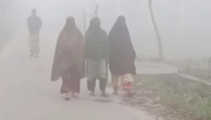 ঘন কুয়াশা ও হিমেল হাওয়ায় রংপুর অঞ্চলের জনজীবন স্থবির