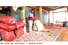 হিলি স্থলবন্দর দিয়ে ভারত থেকে এলো ২২৪৩ মেট্রিক টন পেঁয়াজ  