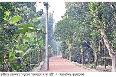 বৈদ্যুতিক খুঁটি মাঝখানে রেখে বাড়ানো হচ্ছে সড়ক  