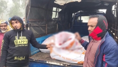 সিরাজগঞ্জে ঘোড়ার মাংস উদ্ধার, ২ জনের জরিমানা