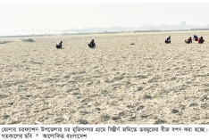 চরফ্যাশনে তরমুজ চাষে বিপ্লব  