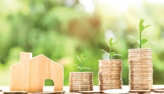 মানবতার নিহত বাঁধন  