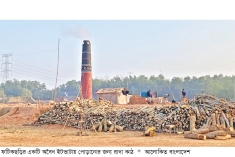 ফটিকছড়ির অবৈধ ইটভাটায় যাচ্ছে টপ সয়েল, কাঠ  