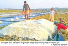 হতাশা নিয়েই ফের মাঠে লবণ চাষিরা  