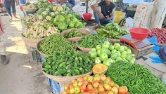 চুয়াডাঙ্গায় কাঁচা বাজারে উঠেছে শীতকালীন সবজি