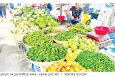 চুয়াডাঙ্গায় শীতকালীন সবজিতে কাঁচাবাজারে স্বস্তি  