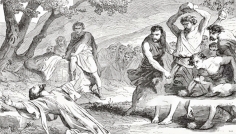 মনুষ্যত্বের জায়গা থেকে মানবিক হোন  