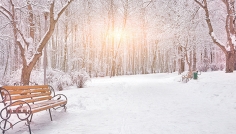 শীত ইবাদতের বসন্তকাল