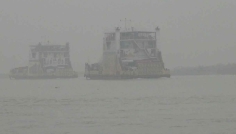 ঘন কুয়াশায় দৌলতদিয়া-পাটুরিয়া নৌরুটে ফেরি চলাচল বন্ধ